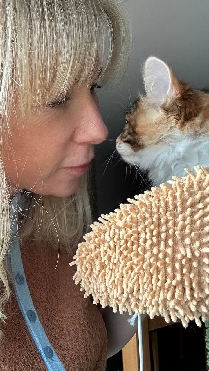 Kurilian Bobtail de BobTop dans sa vie quotidienne