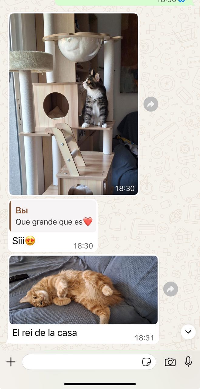 Témoignage d’une famille BobTop 4